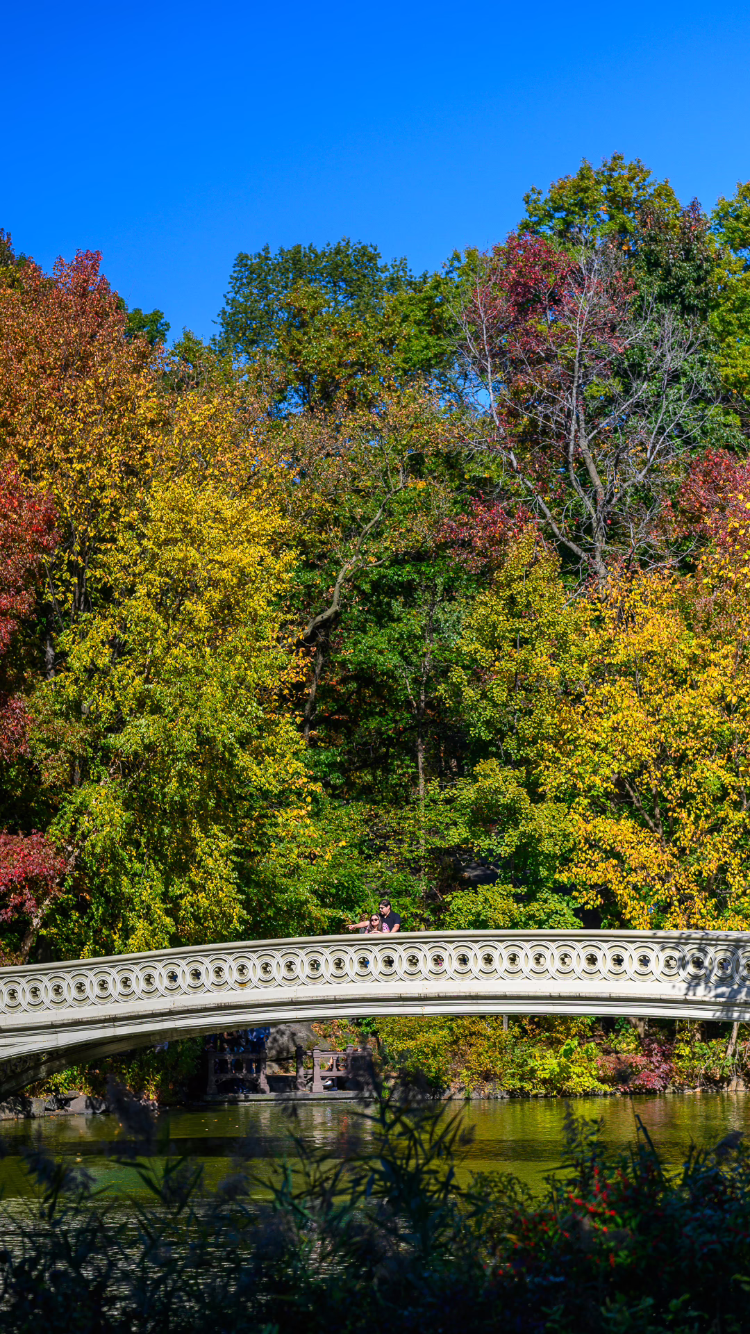 Houston Wedding Photography Trevino Studios